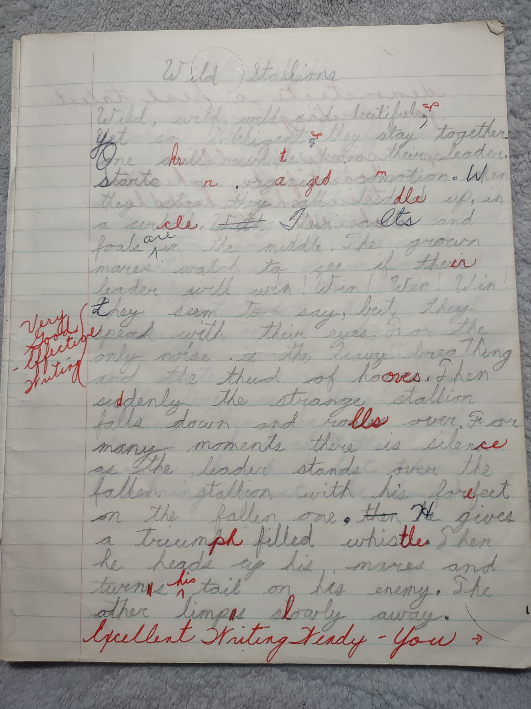 Grade school journal page titled Wild Stallions marked up with red ink and the comment Excellent Writing Wendy